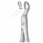 Fig. 67 upper third molars