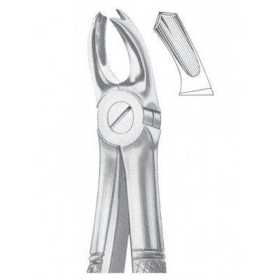  Fig. 65R upper molars right