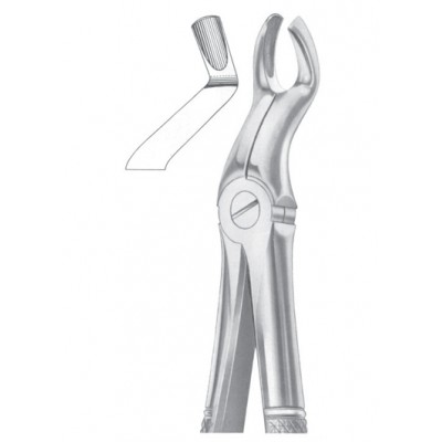  Fig. 67A upper third molars