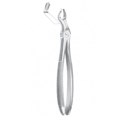 Fig. 67 �R upper third molars right