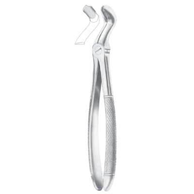 FELSCH (Fig. 210) upper third molars 