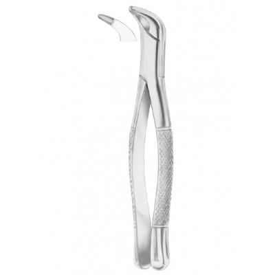 Fig. 203 lower incisors and roots
